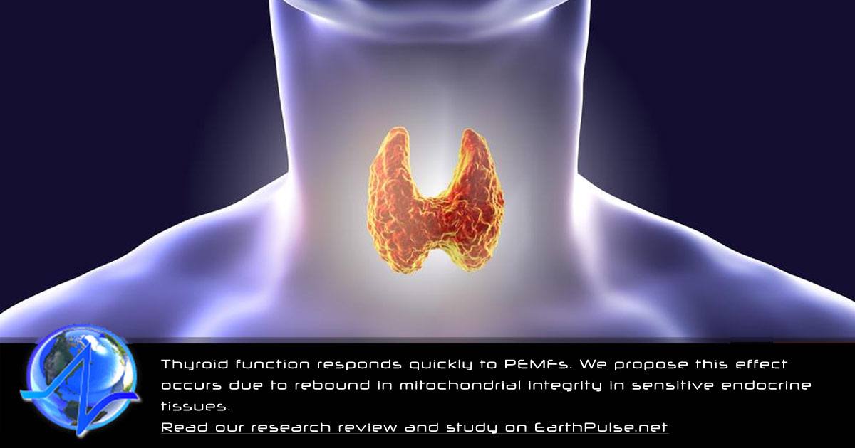 Therapy for Thyroid PEMF Therapy Research & Studies