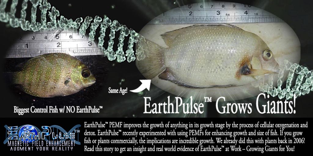 pemf therapy fish growth